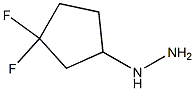 (3,3-difluorocyclopentyl)hydrazine Structure