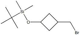 [3-(bromomethyl)cyclobutoxy](tert-butyl)dimethylsilane Structure