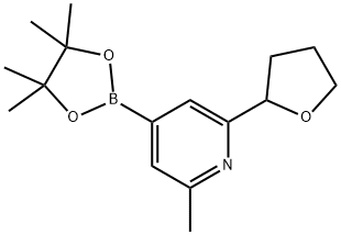 2-methyl-6-(tetrahydrofuran-2-yl)-4-(4,4,5,5-tetramethyl-1,3,2-dioxaborolan-2-yl)pyridine 구조식 이미지