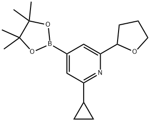 2-cyclopropyl-6-(tetrahydrofuran-2-yl)-4-(4,4,5,5-tetramethyl-1,3,2-dioxaborolan-2-yl)pyridine 구조식 이미지