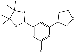2-Chloro-6-(3-tetrahydrofuranyl)pyridine-4-boronic acid pinacol ester 구조식 이미지