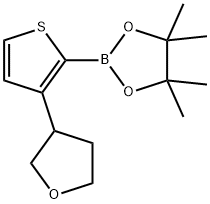 3-(Oxolan-3-yl)thiophene-2-boronic acid pinacol ester Structure