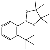 4-(tert-Butyl)pyridine-3-boronic acid pinacol ester Structure