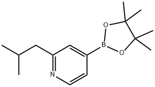 2-(iso-Butyl)pyridine-4-boronic acid pinacol ester 구조식 이미지