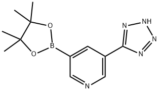 5-(1H-Tetrazolyl)pyridine-3-boronic acid pinacol ester Structure