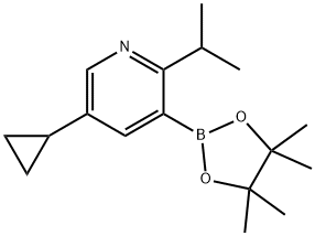 2-(iso-Propyl)-5-cyclopropylpyridine-3-boronic acid pinacol ester 구조식 이미지