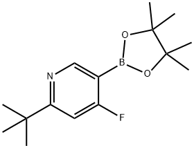 2-(tert-butyl)-4-fluoro-5-(4,4,5,5-tetramethyl-1,3,2-dioxaborolan-2-yl)pyridine 구조식 이미지