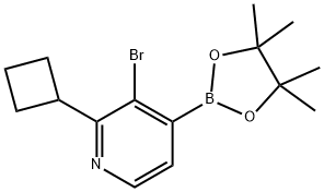 3-Bromo-2-(cyclobutyl)pyridine-4-boronic acid pinacol ester Structure
