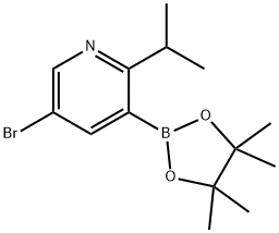 5-Bromo-2-(iso-propyl)pyridine-3-boronic acid pinacol ester 구조식 이미지