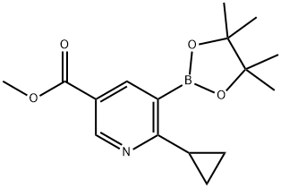 2-Cyclopropyl-5-(methoxycarbonyl)pyridine-3-boronic acid pinacol ester 구조식 이미지