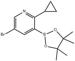 5-Bromo-2-(cyclopropyl)pyridine-3-boronic acid pinacol ester Structure