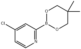 4-Chloropyridine-2-boronic acid neopentylglycol ester 구조식 이미지