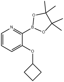 3-(Cyclobutoxy)pyridine-2-boronic acid pinacol ester 구조식 이미지