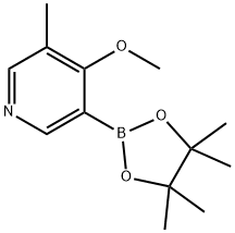 5-Methyl-4-methoxypyridine-3-boronic acid pinacol ester 구조식 이미지