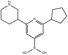 2-Cyclopentyl-6-(piperidin-3-yl)pyridine-4-boronic acid 구조식 이미지