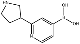 2-(PYRROLIDIN-3-YL)PYRIDINE-5-BORONIC ACID 

2-(PYRROLIDIN-3-YL)PYRIDINE-5-BORONIC ACID 
2-(Pyrrolidin-3-yl)pyridine-4-boronic acid 구조식 이미지