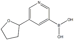 5-(2-TETRAHYDROFURANYL)PYRIDINE-3-BORONIC ACID Structure