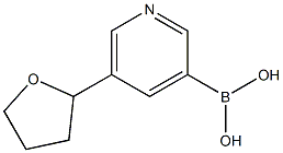 5-(2-TETRAHYDROFURANYL)PYRIDINE-3-BORONIC ACID 구조식 이미지