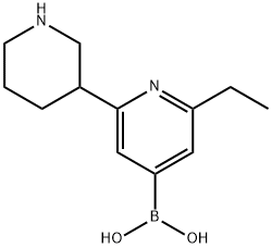 2-Ethyl-6-(piperidin-3-yl)pyridine-4-boronic acid 구조식 이미지