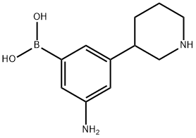 3-(Piperidin-3-yl)-5-aminophenylboronic acid Structure