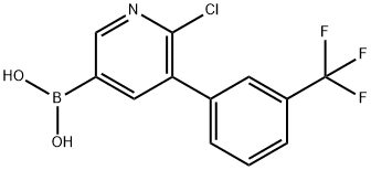 6-Chloro-5-(3-trifluoromethylphenyl)pyridine-3-boronic acid 구조식 이미지