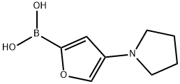 4-(Pyrrolidino)furan-2-boronic acid 구조식 이미지