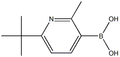 2-Methyl-6-(tert-butyl)pyridine-3-boronic acid 구조식 이미지