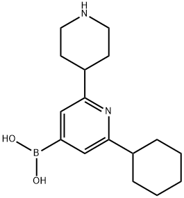 2-Cyclohexyl-6-(piperidin-4-yl)pyridine-4-boronic acid 구조식 이미지
