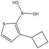 3-(Cyclobutyl)thiophene-2-boronic acid 구조식 이미지