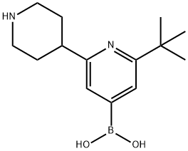 2-(tert-Butyl)-6-(piperidin-4-yl)pyridine-4-boronic acid 구조식 이미지