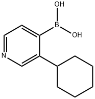 3-(Cyclohexyl)pyridine-4-boronic acid 구조식 이미지