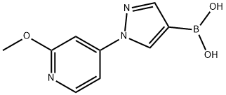 1-(2-Methoxy-4-pyridyl)-1H-pyrazole-4-boronic acid Structure