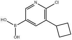 6-Chloro-5-(cyclobutyl)pyridine-3-boronic acid Structure