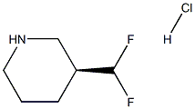 (S)-3-(difluoromethyl)piperidine hydrochloride Structure