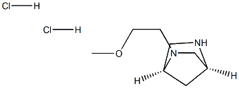 (1S,4S)-2-(2-methoxyethyl)-2,5-diazabicyclo[2.2.1]heptane dihydrochloride 구조식 이미지