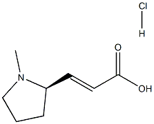 (R,E)-3-(1-methylpyrrolidin-2-yl)acrylic acid hydrochloride 구조식 이미지
