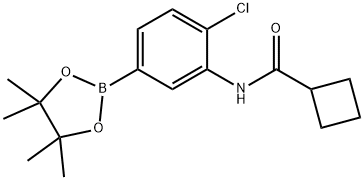 N-(2-chloro-5-(4,4,5,5-tetramethyl-1,3,2-dioxaborolan-2-yl)phenyl)cyclobutanecarboxamide Structure