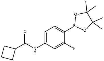 N-(3-fluoro-4-(4,4,5,5-tetramethyl-1,3,2-dioxaborolan-2-yl)phenyl)cyclobutanecarboxamide 구조식 이미지
