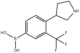 (4-(pyrrolidin-3-yl)-3-(trifluoromethyl)phenyl)boronic acid 구조식 이미지