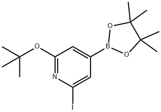 2-(tert-butoxy)-6-iodo-4-(4,4,5,5-tetramethyl-1,3,2-dioxaborolan-2-yl)pyridine 구조식 이미지