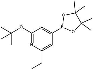 2-(tert-butoxy)-6-ethyl-4-(4,4,5,5-tetramethyl-1,3,2-dioxaborolan-2-yl)pyridine 구조식 이미지