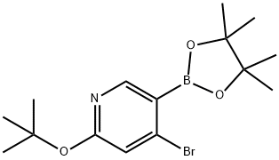 4-bromo-2-(tert-butoxy)-5-(4,4,5,5-tetramethyl-1,3,2-dioxaborolan-2-yl)pyridine Structure