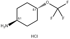 trans-4-Trifluoromethoxy-cyclohexylamine hydrochloride 구조식 이미지