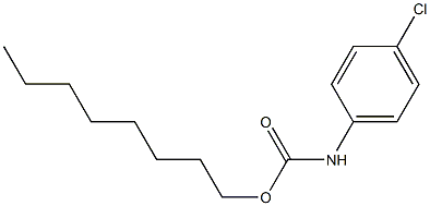 octyl N-(4-chlorophenyl)carbamate Structure