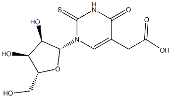 5-Carboxymethyl-2-thiouridine Structure