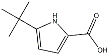 5-tert-butyl-1H-pyrrole-2-carboxylic acid 구조식 이미지