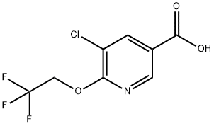 3-Pyridinecarboxylic acid, 5-chloro-6-(2,2,2-trifluoroethoxy)- Structure