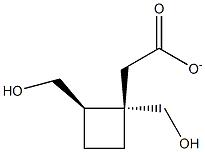 [(1R,2S)-2-(Hydroxymethyl)cyclobutyl]methyl Acetate 구조식 이미지