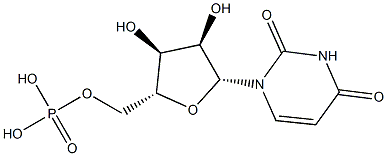 Uridine monophosphate 구조식 이미지