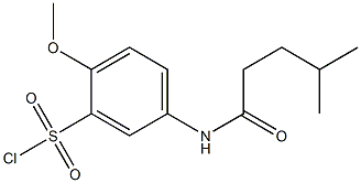 2-methoxy-5-(4-methylpentanamido)benzene-1-sulfonyl chloride Structure